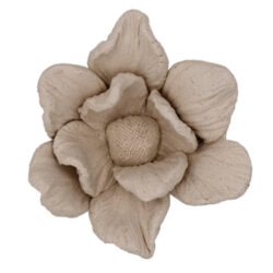 FIORE DEL CIELO